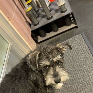 Meet your Posher, Nick